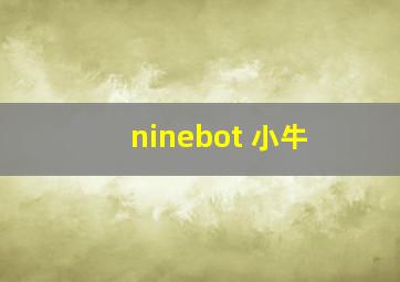 ninebot 小牛